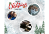 Winter Christmas Cool Tumbler - Flat Virtual