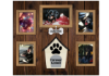 In the Dog House - Flat Virtual